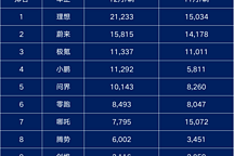 2022總成績(jī)：比亞迪銷量狂飆超186萬，哪吒登頂新勢(shì)力第一