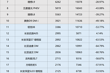 2024年2月中国插混车型终端销量排行榜总榜（共122款车型）