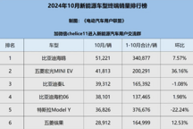 中国新能源汽车终端销量排行榜总榜（含所有车型，2024年10月版）