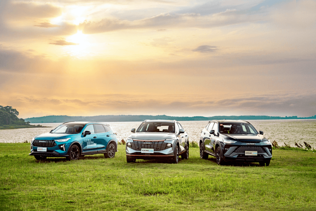 都在賣車殼，比亞迪和長城汽車誰才是真正的電動車教科書？