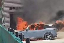 电动汽车不需要市场的理解