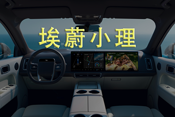 蔚小理終將解散
