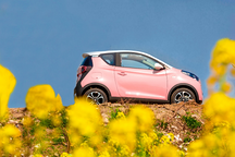 破浪的“女王” 小蚂蚁女王版vs欧拉R1女神版 谁更有实力