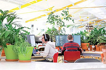 转型科技公司，德国汽车巨头需要更多程序员