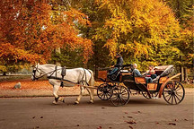 不止汽车，所有出行领域都要面对的抉择：使用权VS所有权