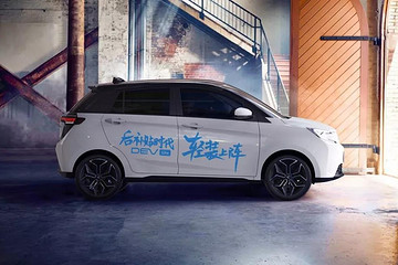 这家新势力找到了属于自己的生存之道