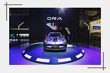 一只猫，怎么那么会撩？