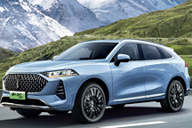 插混市場面對比亞迪這個攔路虎，WEY用長續(xù)航超車？大咖們怎么看