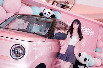 百花齊放的“純電小車”，選花了眼？看這3款夠了