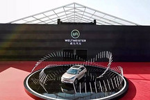 威马汽车年产15GWh动力电池项目开工