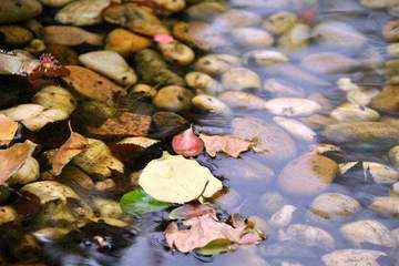 一位70后蔚来车主的心声：对于蔚来，我很满意，也很放心