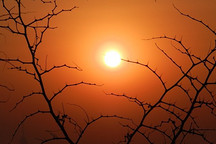 新能源车企欲抢滩科创板，顺利挂牌的造车新势力不会超三家