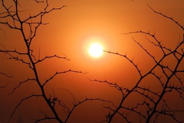 新能源车企欲抢滩科创板，顺利挂牌的造车新势力不会超三家