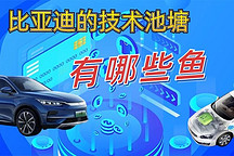 比亞迪滿足了80%中國消費者痛點  不止于DM-i  還有大魚？