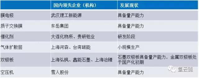 氢云研究：”技术引进”能否实现氢燃料电池汽车产业弯道超车？