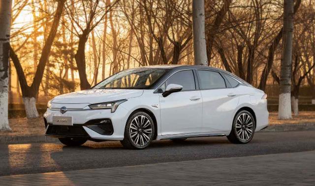 2019年新能源車企銷量，廣汽新能源超額，吉利比亞迪超過7成