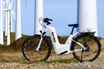 燃料电池电动自行车将亮相G7峰会