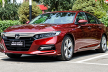 11月销量超14万，本田继续增长，全年有望突破150万