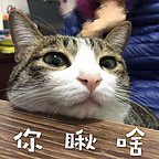 小佛爺567