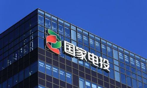 國(guó)家電投.jpg