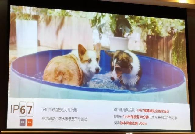 試駕福特領(lǐng)界EV  動(dòng)、靜都有得一品