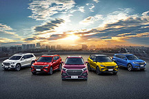 以奇瑞的实力，或许可以当地头蛇，但是当不了“盟主”