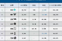 11月8家車企銷量出爐：埃安第1、哪吒第2，誰人歡喜誰人愁？