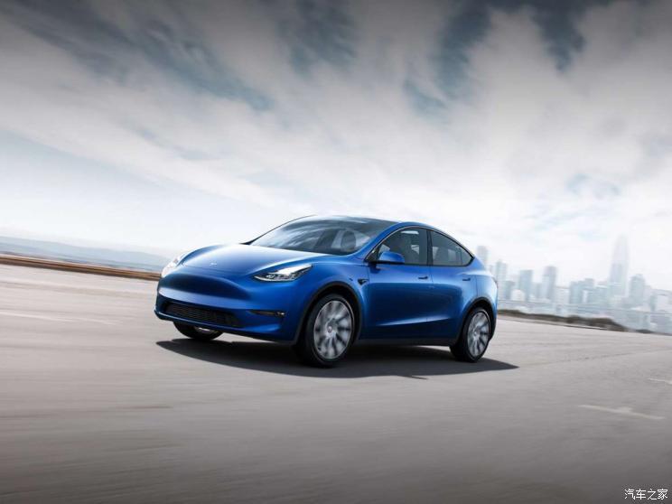 特斯拉（进口） Model Y 2019款 Performance高性能全轮驱动版