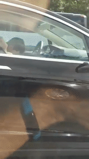 車內司機頭錘胸口，旁邊女子頭靠椅背，兩人睡得正酣。（視頻截圖）