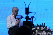 楊裕生：電動(dòng)車(chē)安全放首位 政策和技術(shù)需全面保障