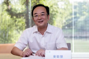 安聪慧在看吉利销售报告的时候，他在想什么？