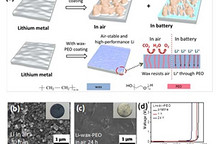 天津大学合作清华大学研发蜡-PEO涂层 可制成防水/空气稳定的锂金属阳极