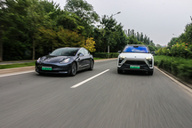 视觉感知派之争  NP与AP的“终极对决”