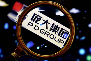 庞大集团成立品牌、园区管理、商用车三大事业部