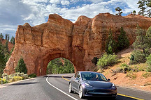 1月国内电动汽车交付数据