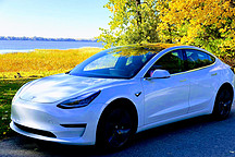 疫情之下的特斯拉，硬件业务受阻，软件创收玩儿得溜