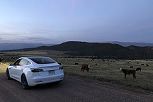 特斯拉Model 3和小鹏P7怎么选？