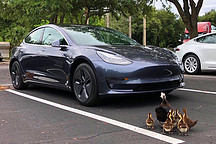 特斯拉最大竞争者，会是市值第3的蔚来还是第4的比亚迪？