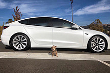 汽車(chē)集團(tuán)市值榜Top 25更新，中國(guó)公司占據(jù)8席