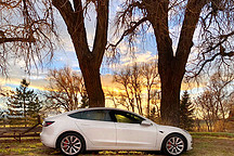 3月瑞士：品牌份額、車型銷冠也是特斯拉