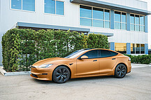 4月意大利：寶馬129輛、奔馳114輛、特斯拉27輛