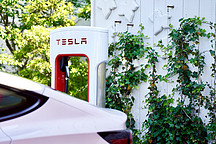 特斯拉已在墨西哥買(mǎi)地，即將宣布建廠