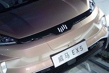 一言不合就自焚，威马EX5自燃再次敲响行业安全警钟！