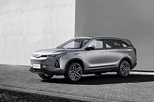 美团王兴说威马要出局，沈晖不服要打赌能进Top3