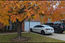 为了财报，第二季度末特斯拉又出了哪些怪招儿