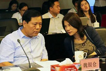 董小姐还造车吗？ | 问电观