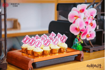 向新而行旗艦之選 暨北京鵬奧瑞騰比亞迪王朝店盛大開業(yè)524.png