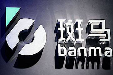 “斑马们”的斗争