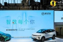 威马智能：从零到整的全面进化