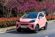 高颜值又有料 520表白节有小蚂蚁女王版保“价”护航